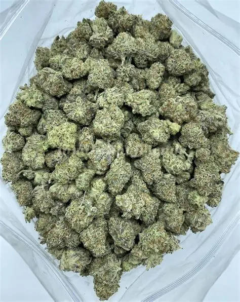 Amnesia Haze