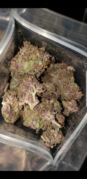 Blackberry Kush