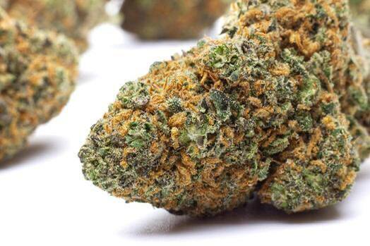 Guía sobre cannabis en España