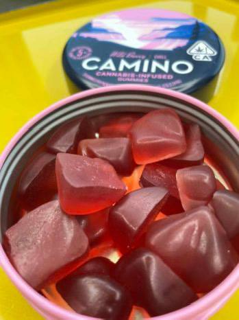 Camino Gummies – Wild Berry