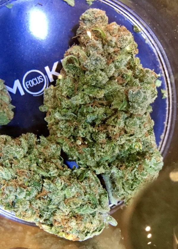 Jack Herer
