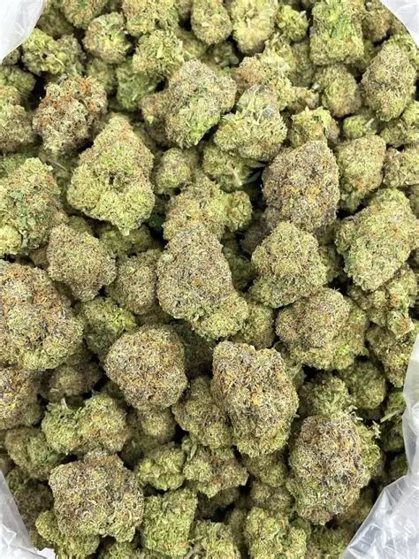 Northern Lights Indica